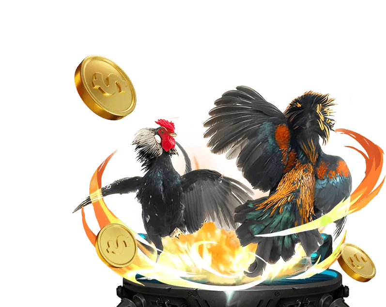 Cá cược bóng rổ tại lucky8